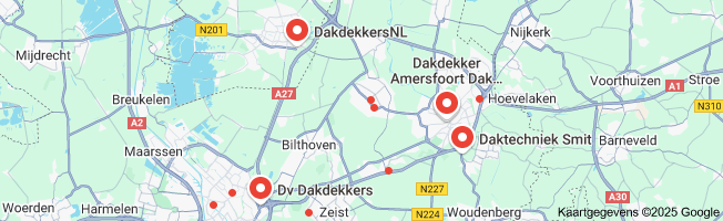 dakbedekking vervangen