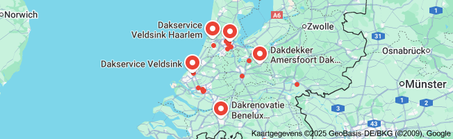 noodreparatie dak