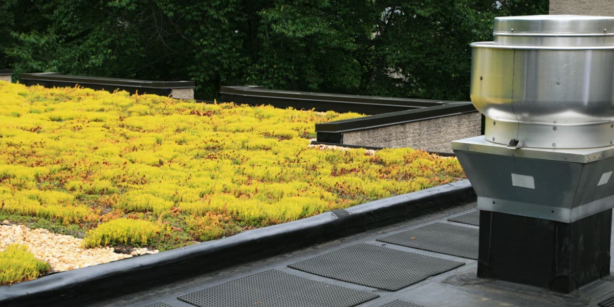 natuurlijke dakbedekking