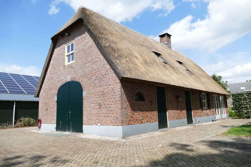 rieten dak onderhoud