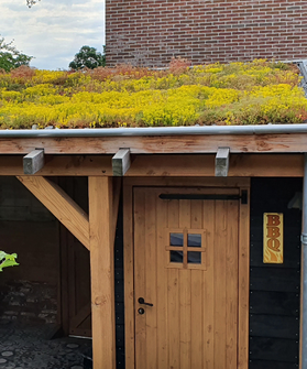 sedum dakbedekking prijs