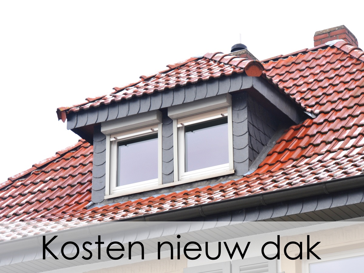 nieuw bitumen dak kosten