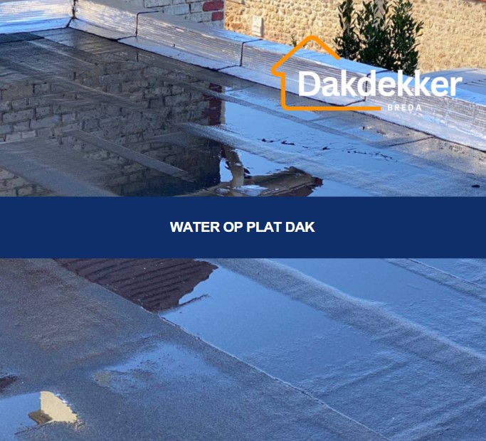 lekkage plat dak opsporen