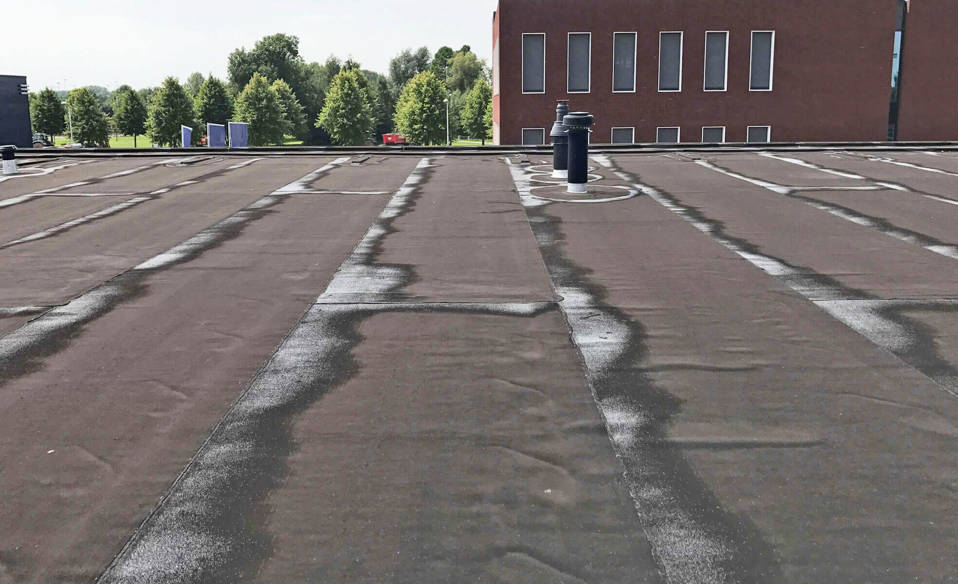 wat kost dakbedekking vervangen per m2