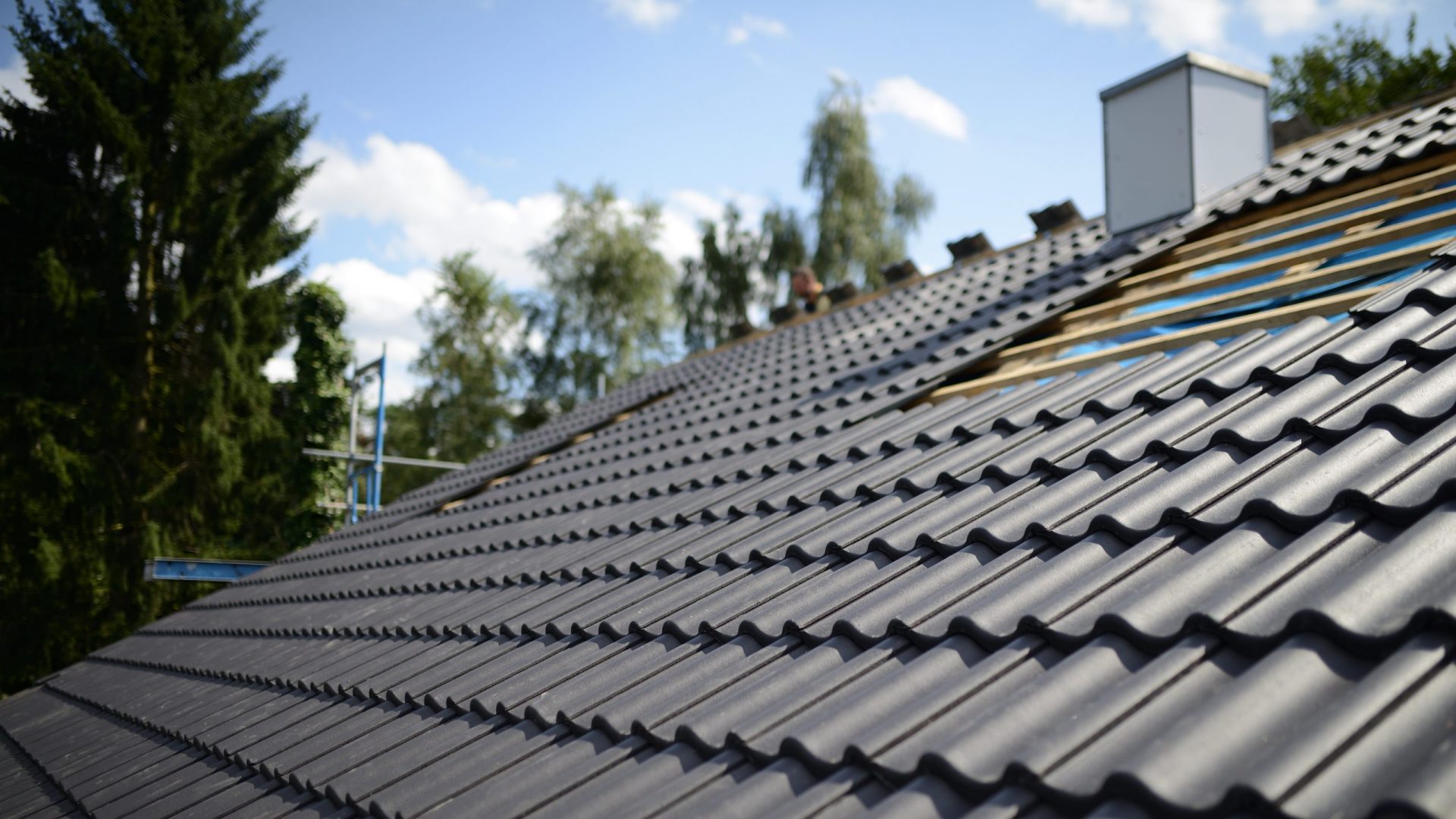 wat kost nieuwe dakbedekking plat dak