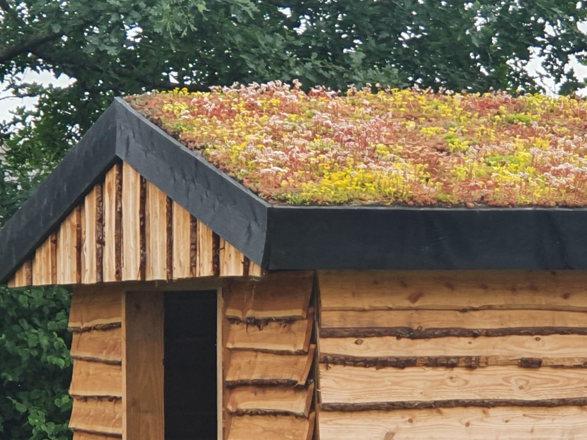wat kost sedum dakbedekking